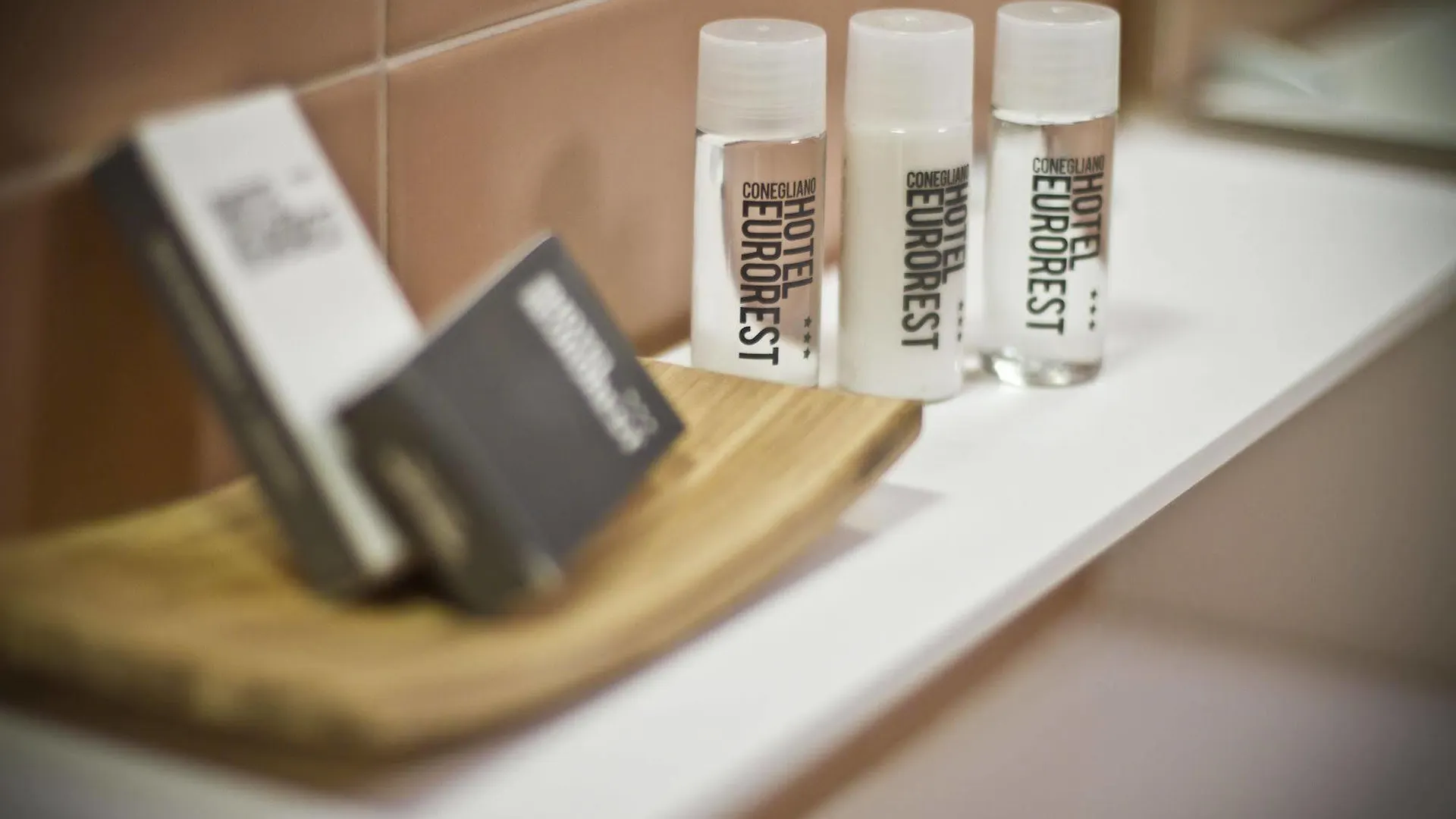 ***  Hotel Eurorest Conegliano Italy