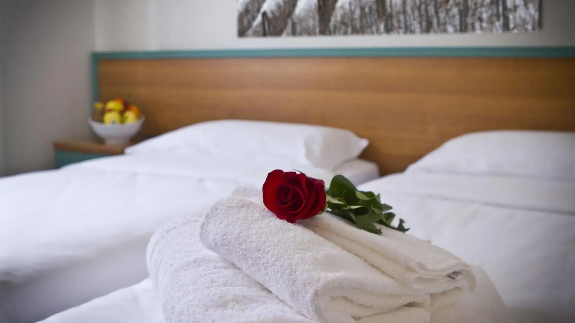 Hotel Eurorest Conegliano